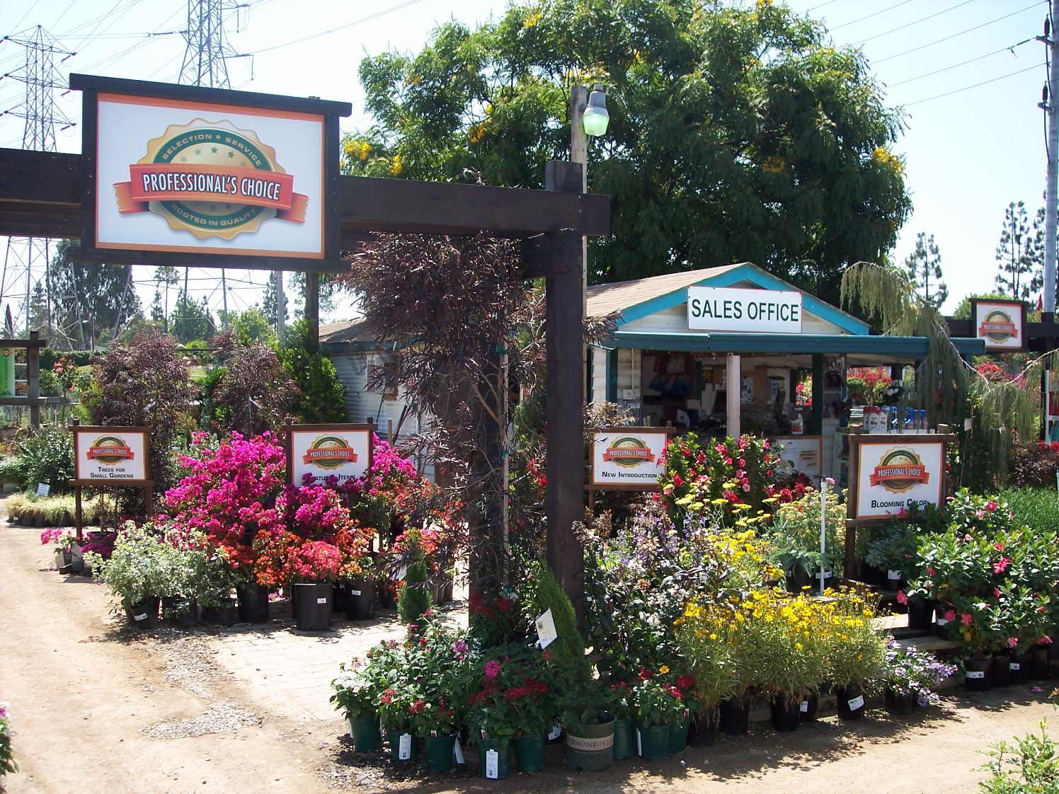 Village Nurseries launches landscape architect design group to