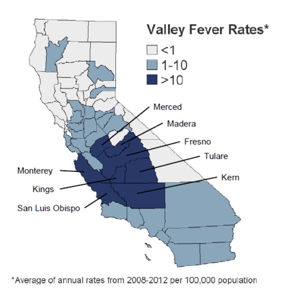 valley fever chart